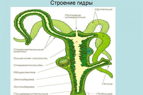 Интернет магазин наркотиков